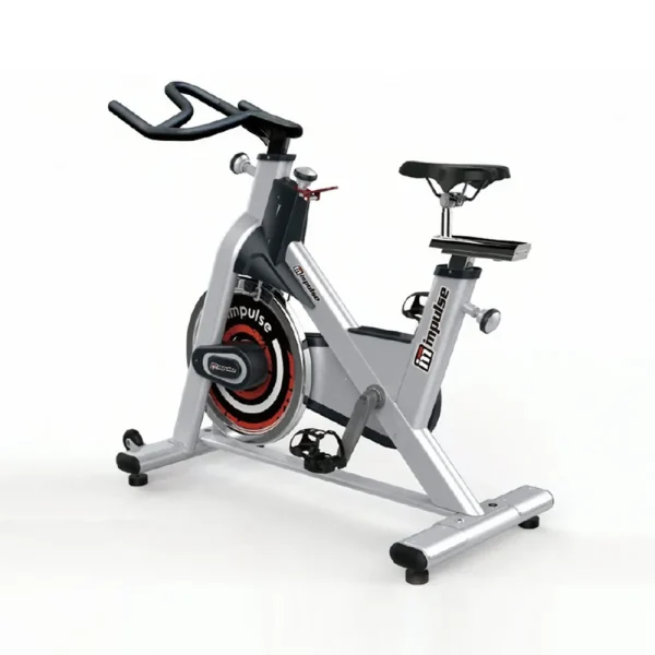 PS300 Spinning Bike
