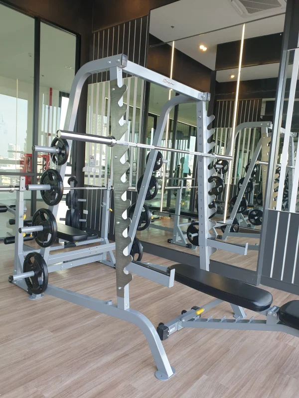 IFHC + IFHCS Smith Machine in Half Rack - Image 5